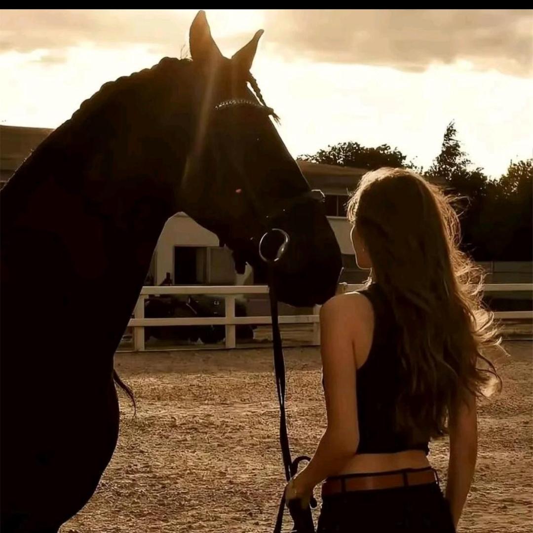 ࿐  འོད་🌹དཀར་🌹མཚོ།