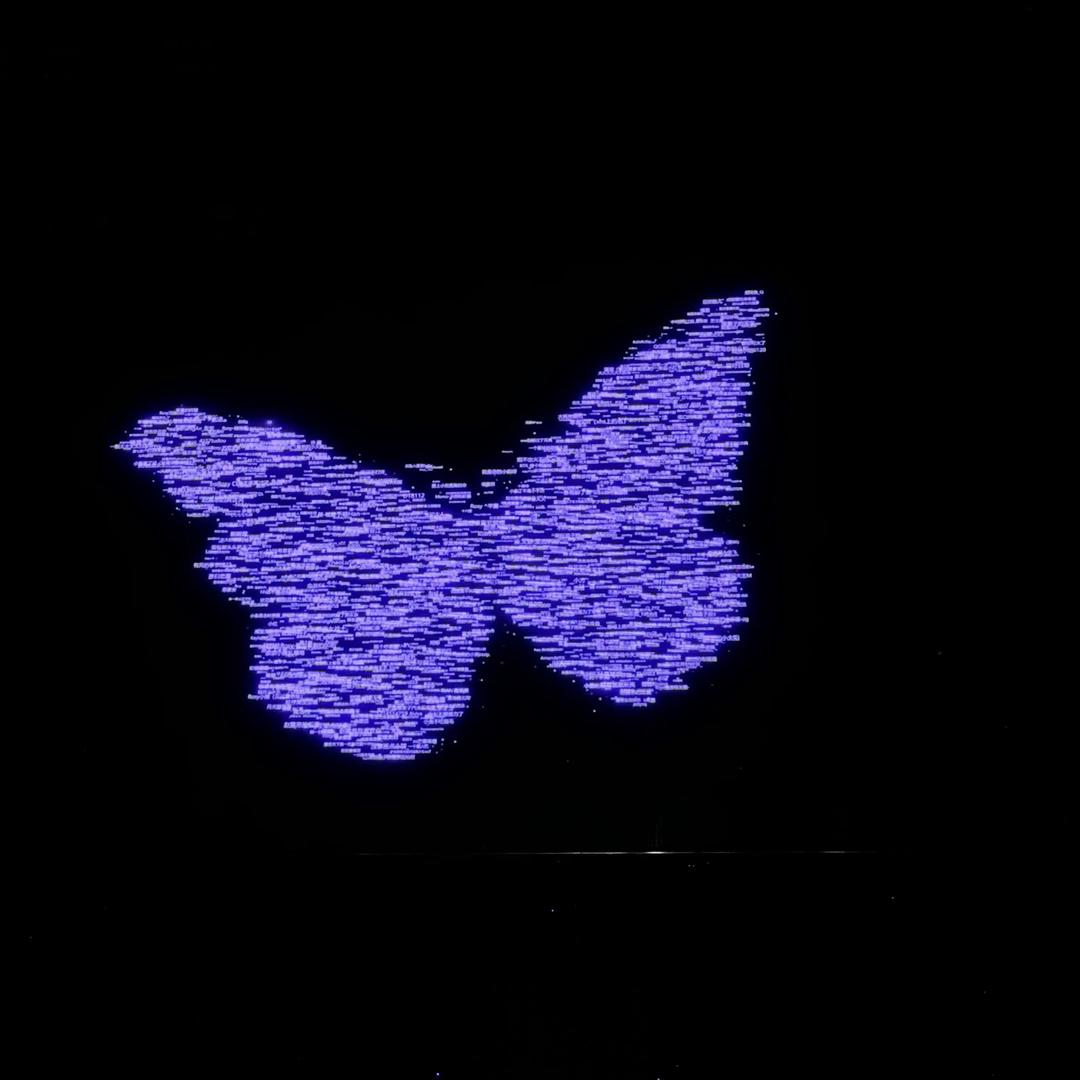 小萝卜（总该见一面）