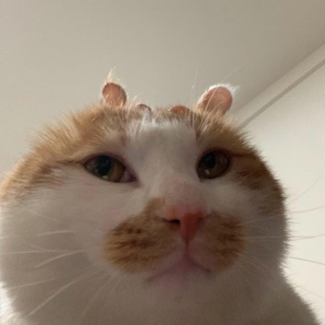 Cr