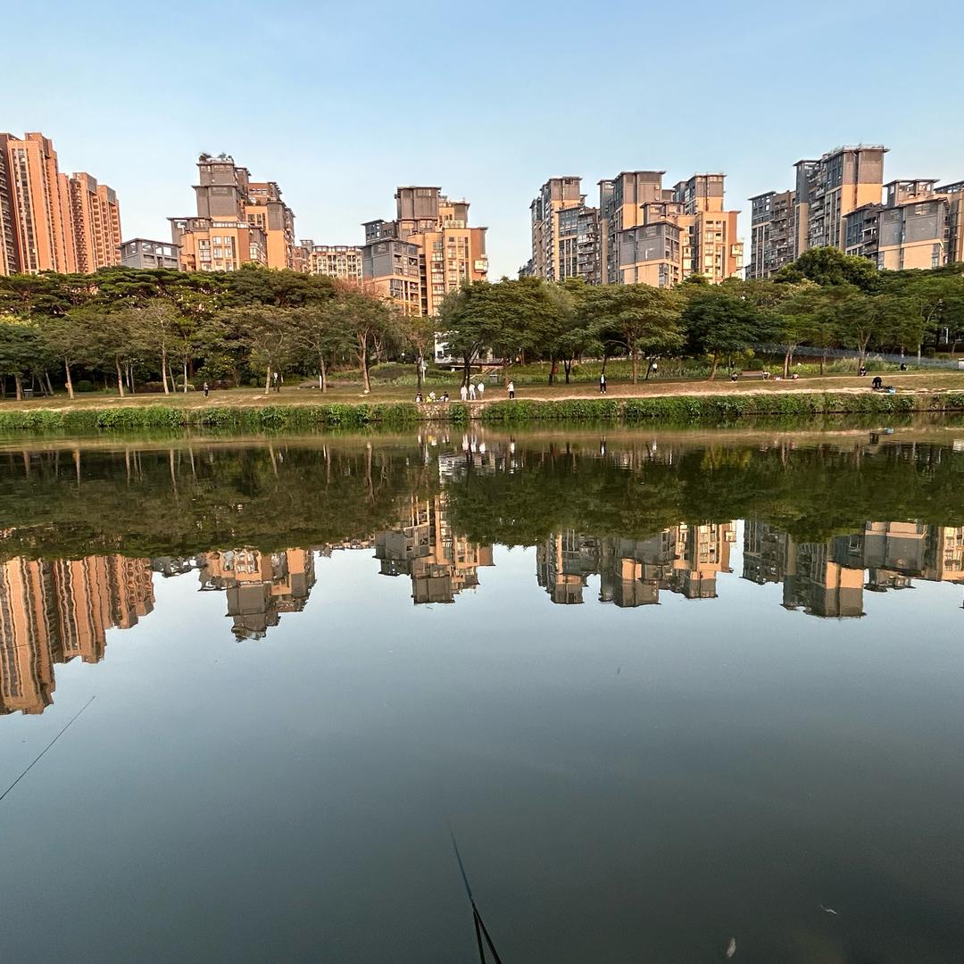忘情水再现