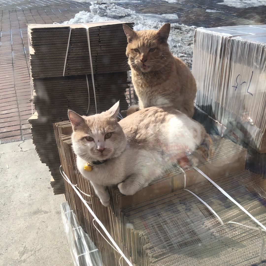 俄罗斯阿然🇷🇺