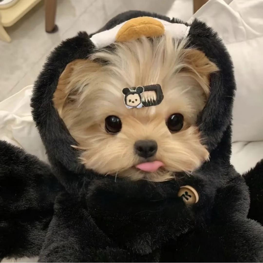 澈ouo