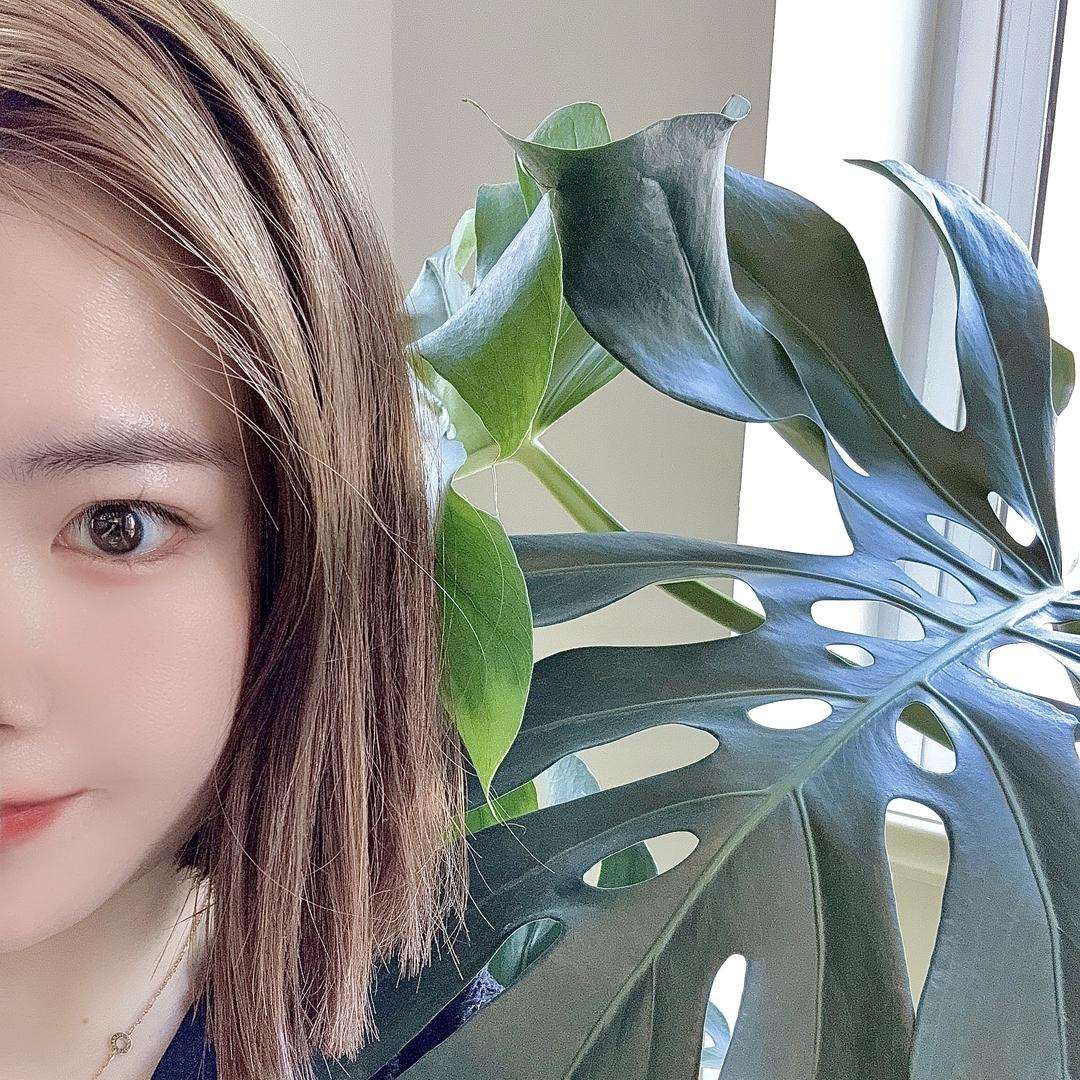 东昇花卉绿植
