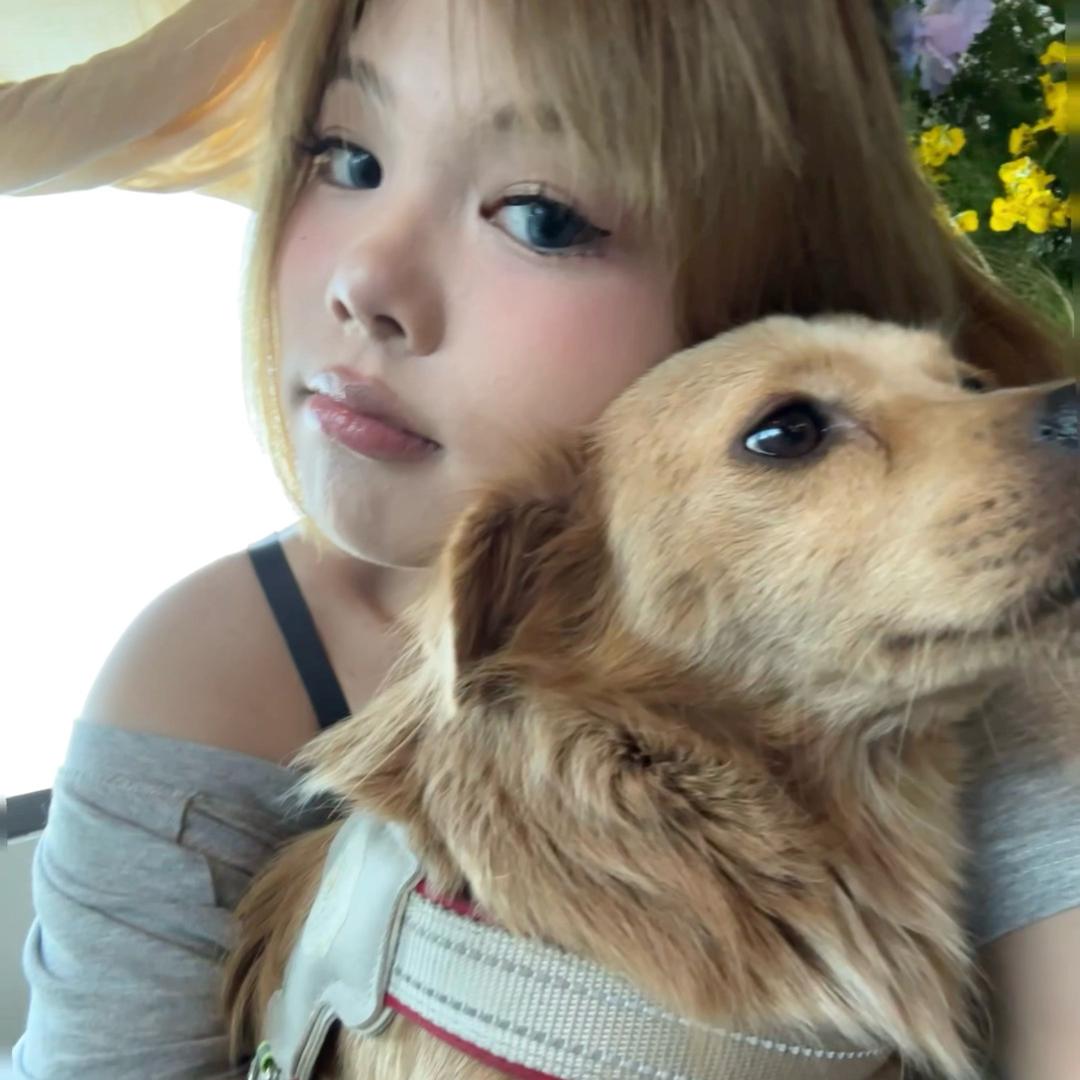 超级瑞士卷