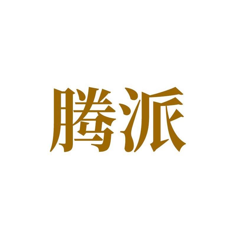 腾派男装旗舰店