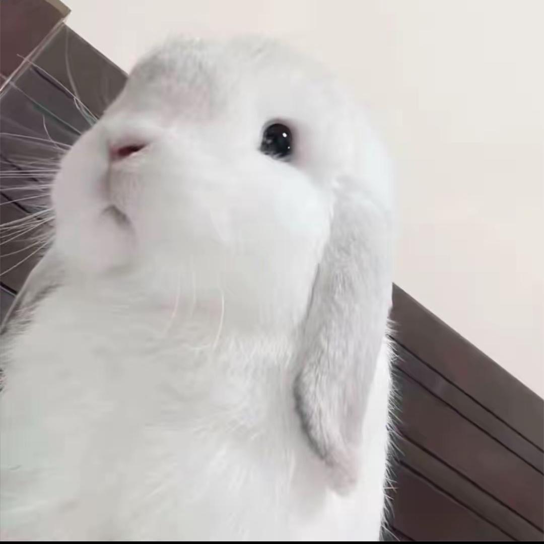 憂うつ