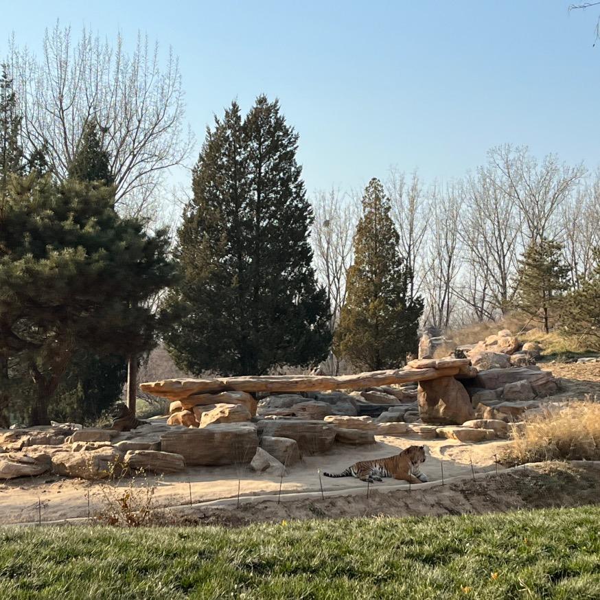 董欣·如一初欣(绿景街店)