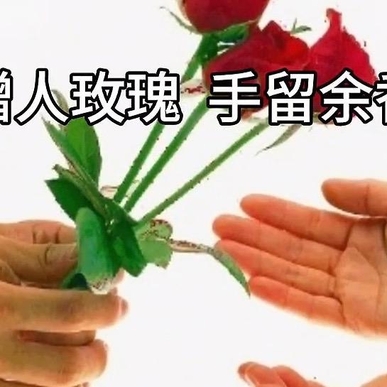 鉴宝直通车