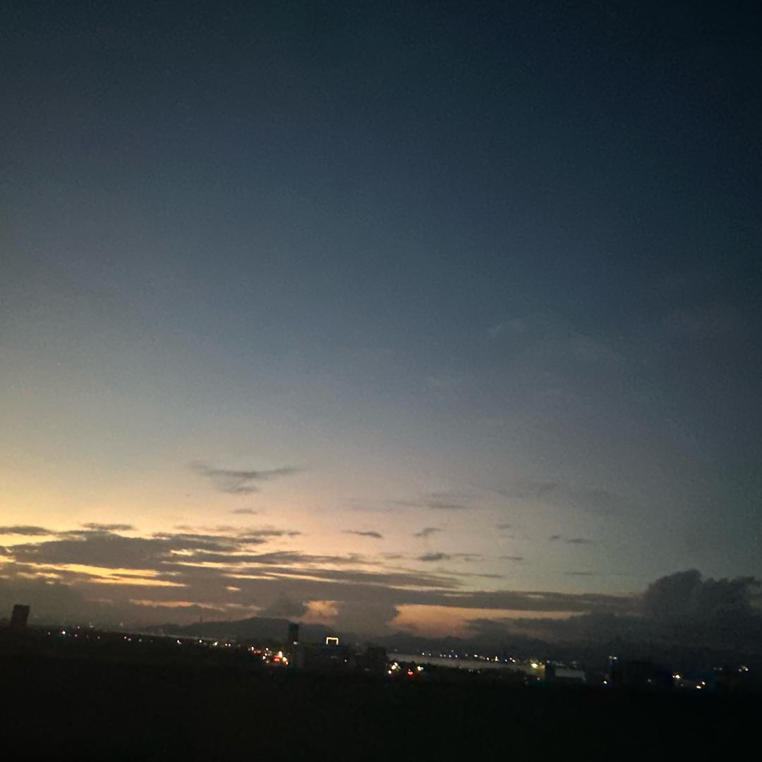 苒尔