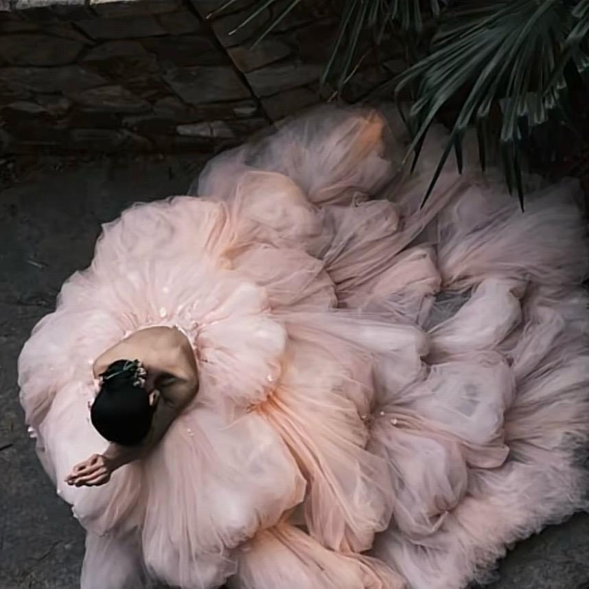 杨。
