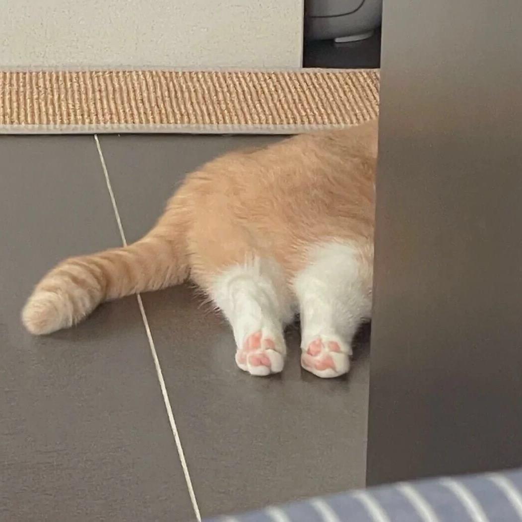 早早下班啦૮꒰˶ฅ́˘ฅ̀˶꒱ა