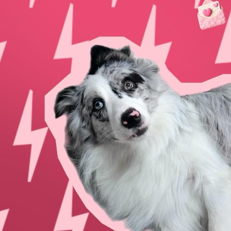 6月8号来的小陨边