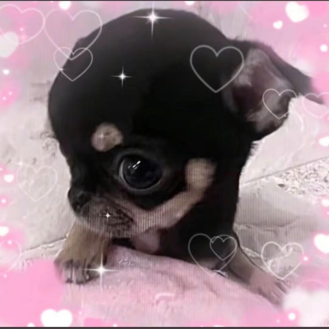 瀰.