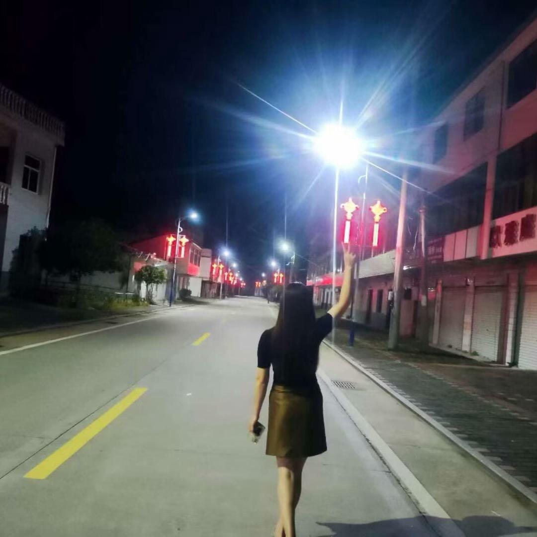 招菜进宝