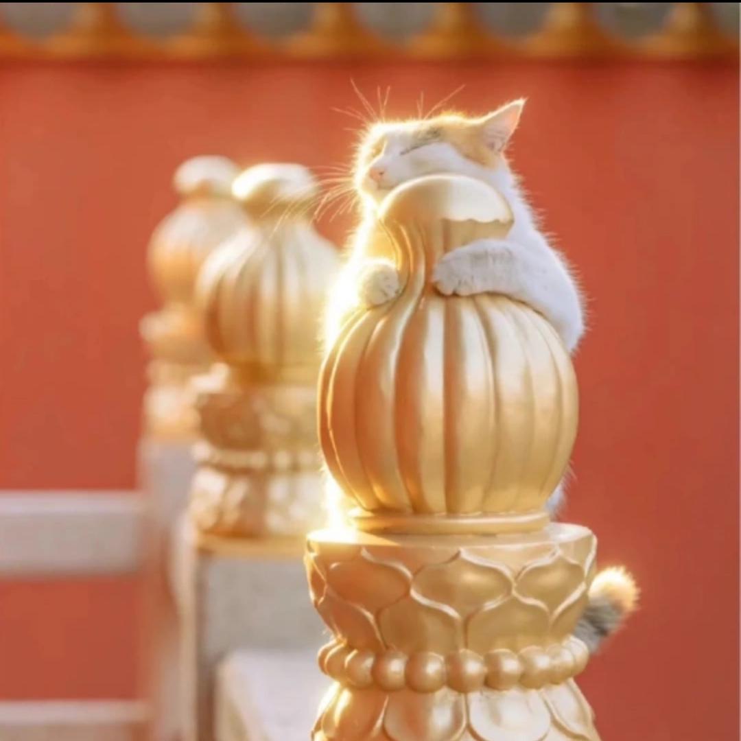 紫气东来源滚滚