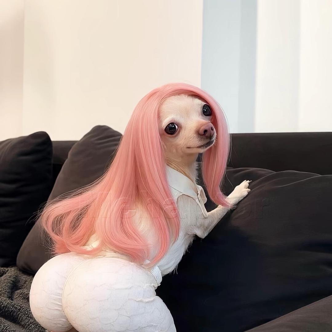 ㅤㅤㅤ ⁥ㅤㅤㅤㅤ ⁥ㅤㅤㅤ⁥ㅤㅤ暴躁女