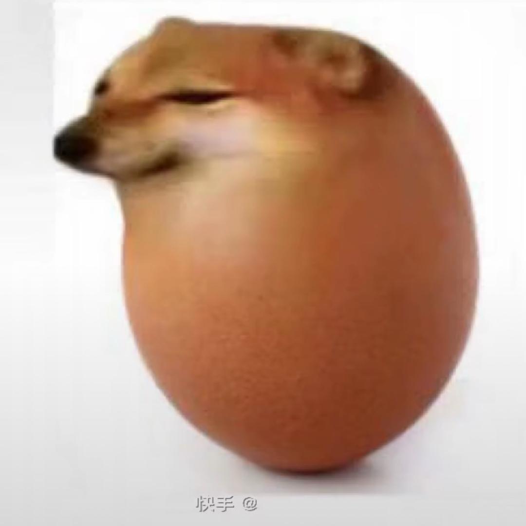 晓琴公主