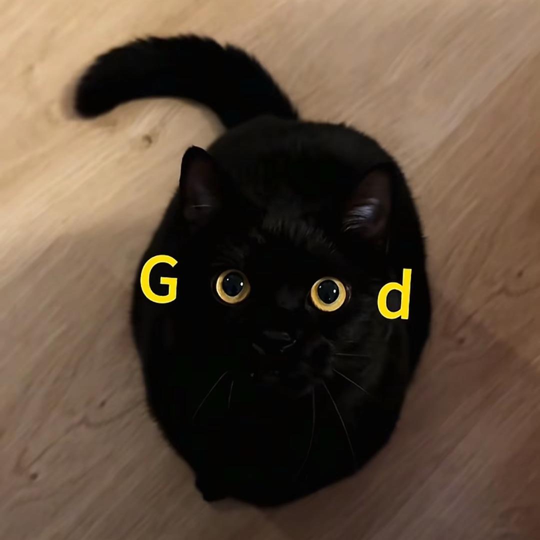 二斗