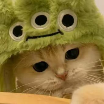 宝贝，爱我吗（拒绝私聊）