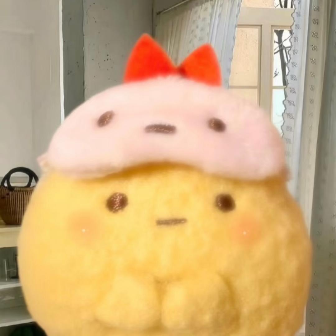 PP_