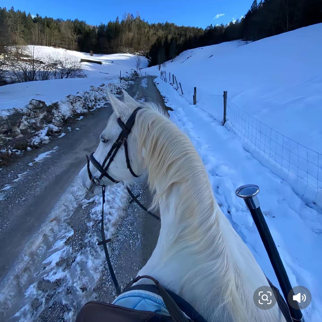 ㅤ  ㅤ     ㅤㅤ     ㅤㅤ