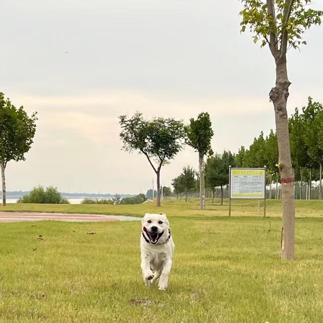 @泥巴熊