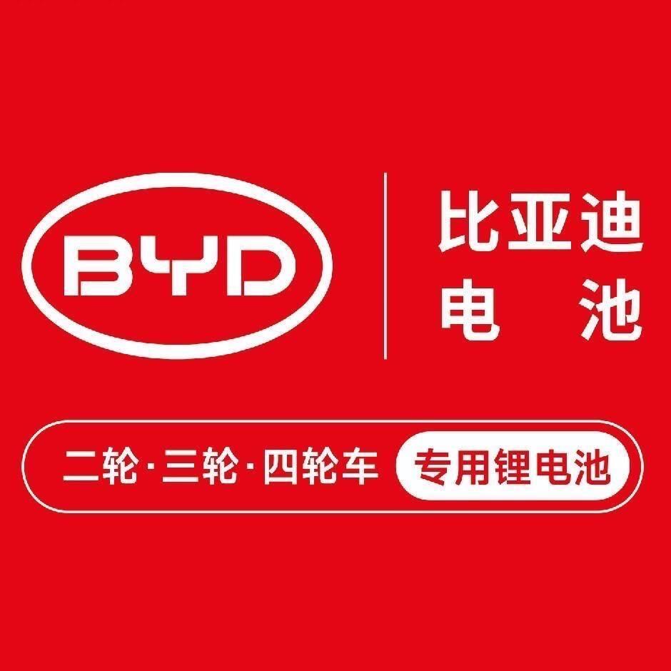 BYD比亚迪锂电池叶县总代理