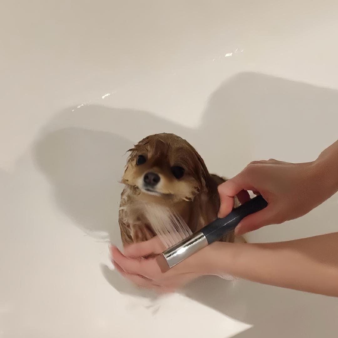 我乌鱼住了