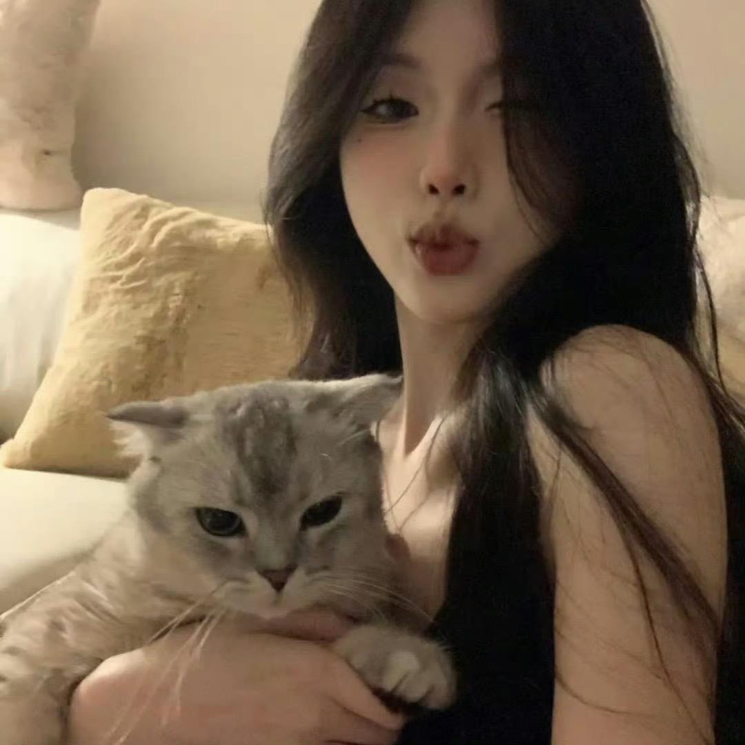 小猫睡神