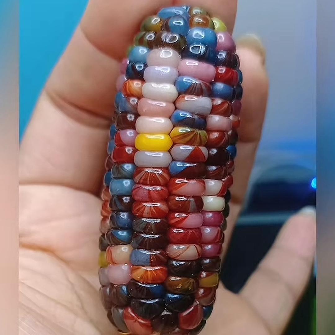 喜唐玉米🌽