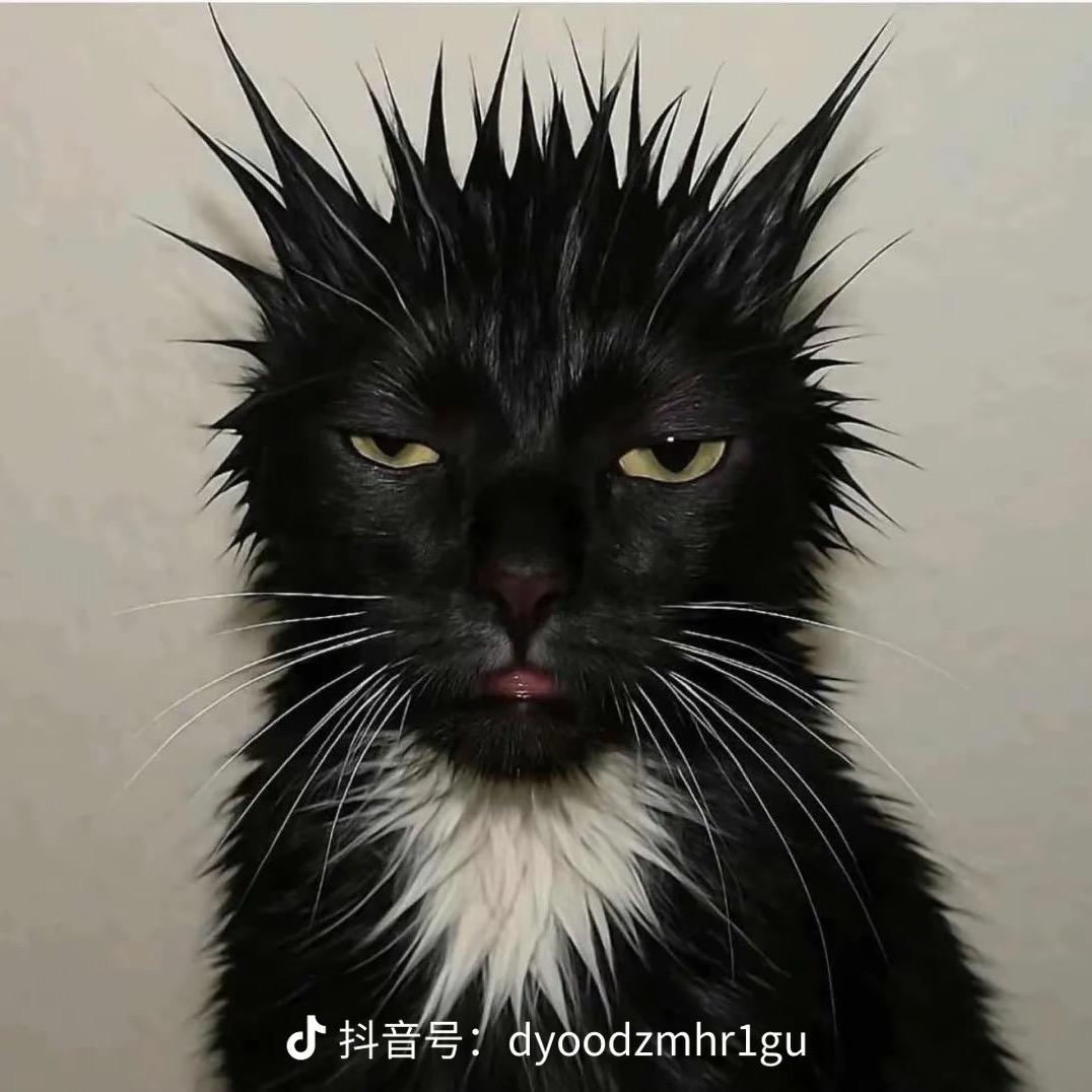 荔枝-