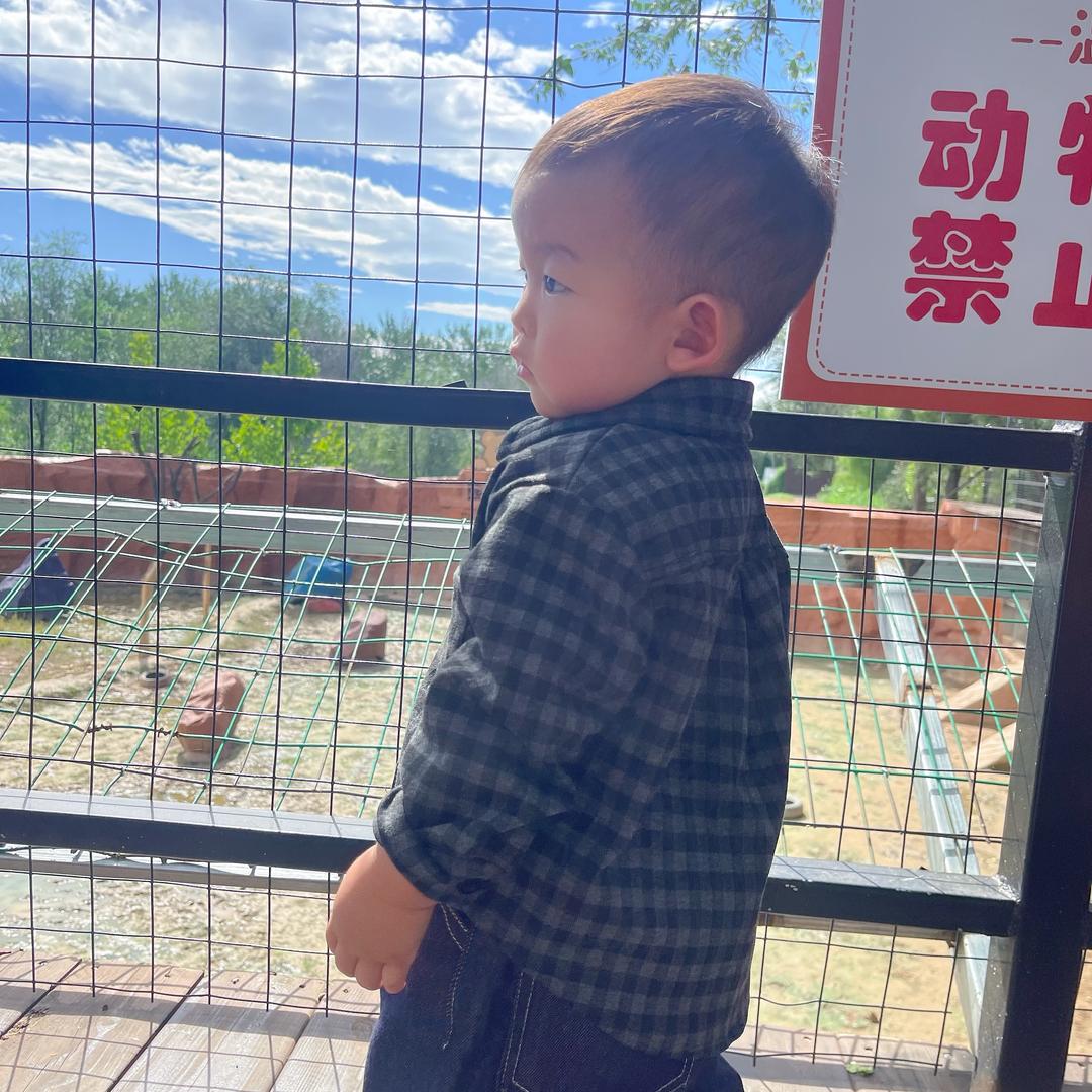 米乐麻麻