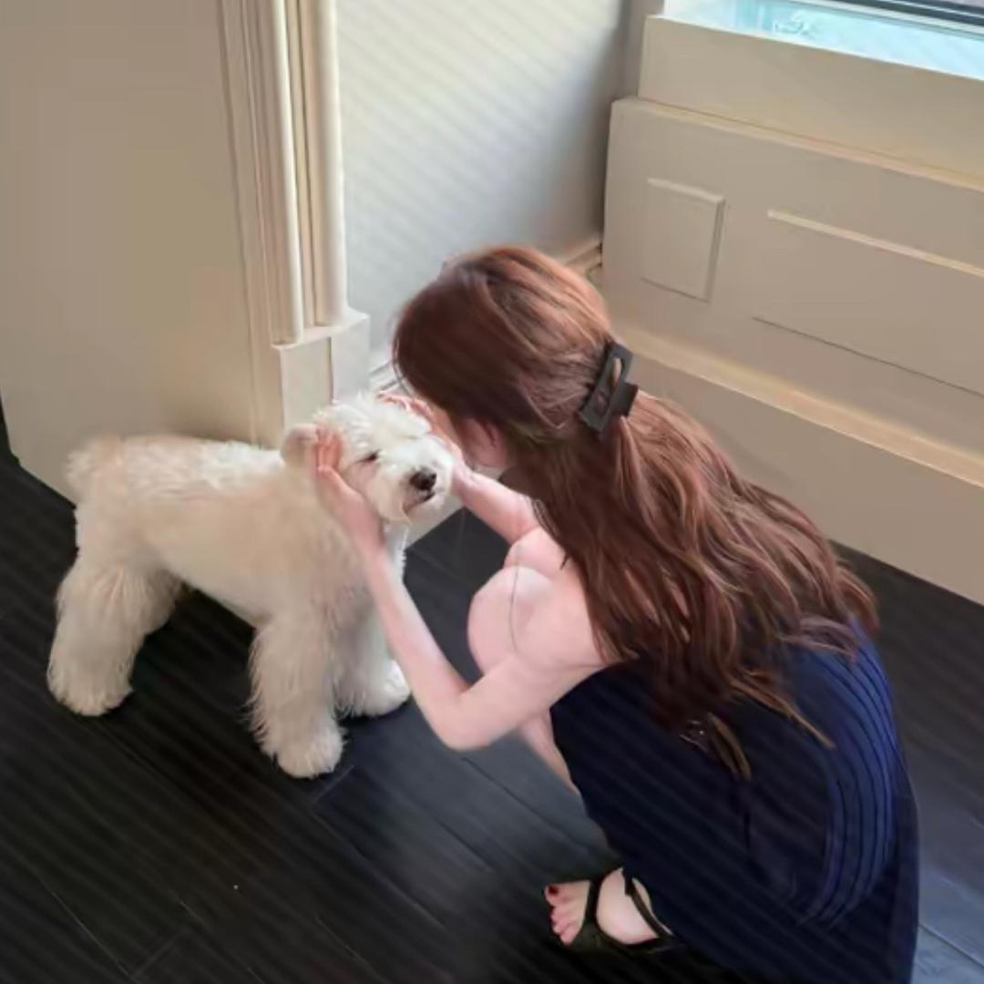 Miss小洁