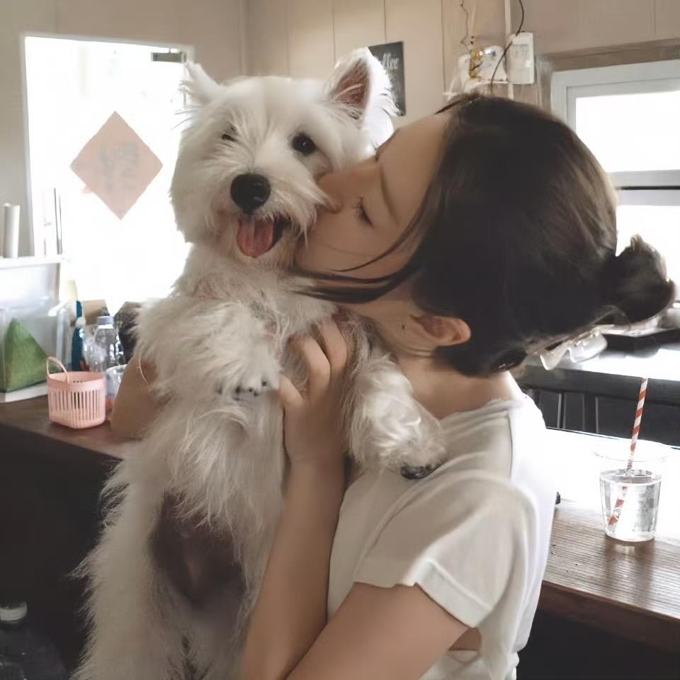 芋圆杏糊露🍠