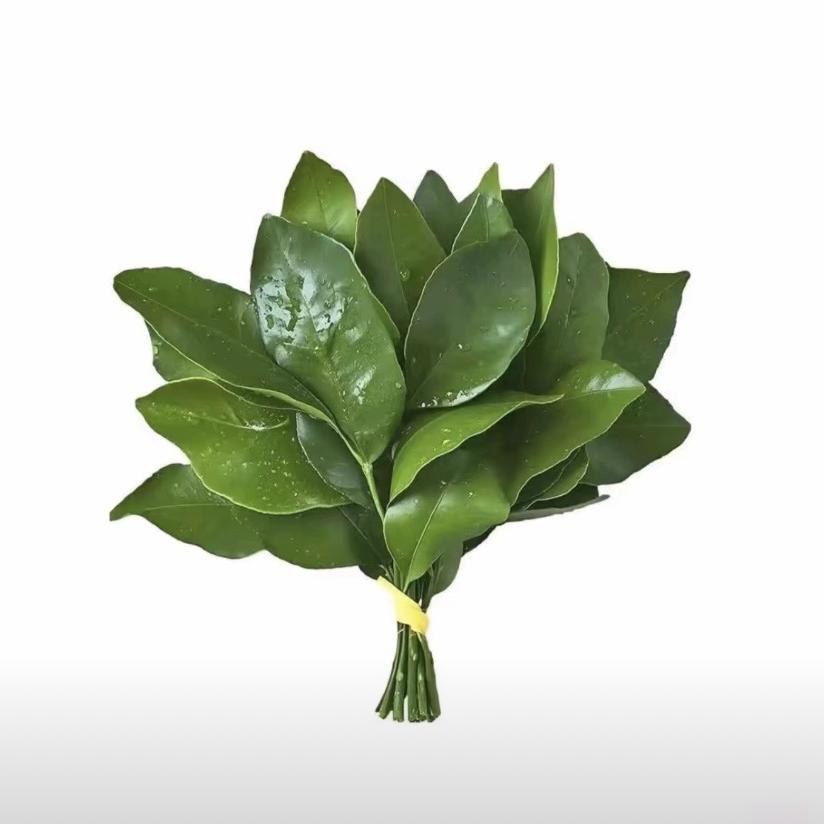 喵甲·美甲·美睫