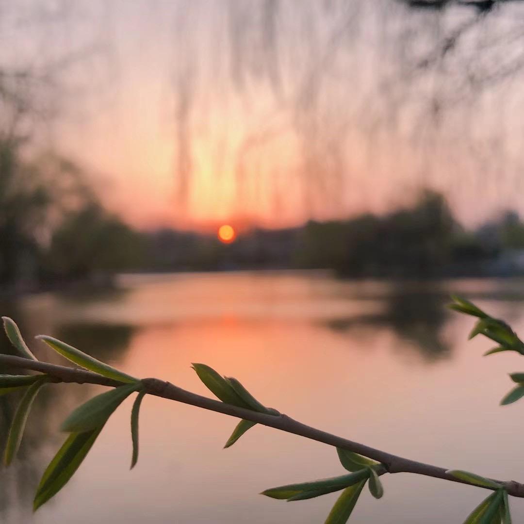 爱喝❽²年雪碧