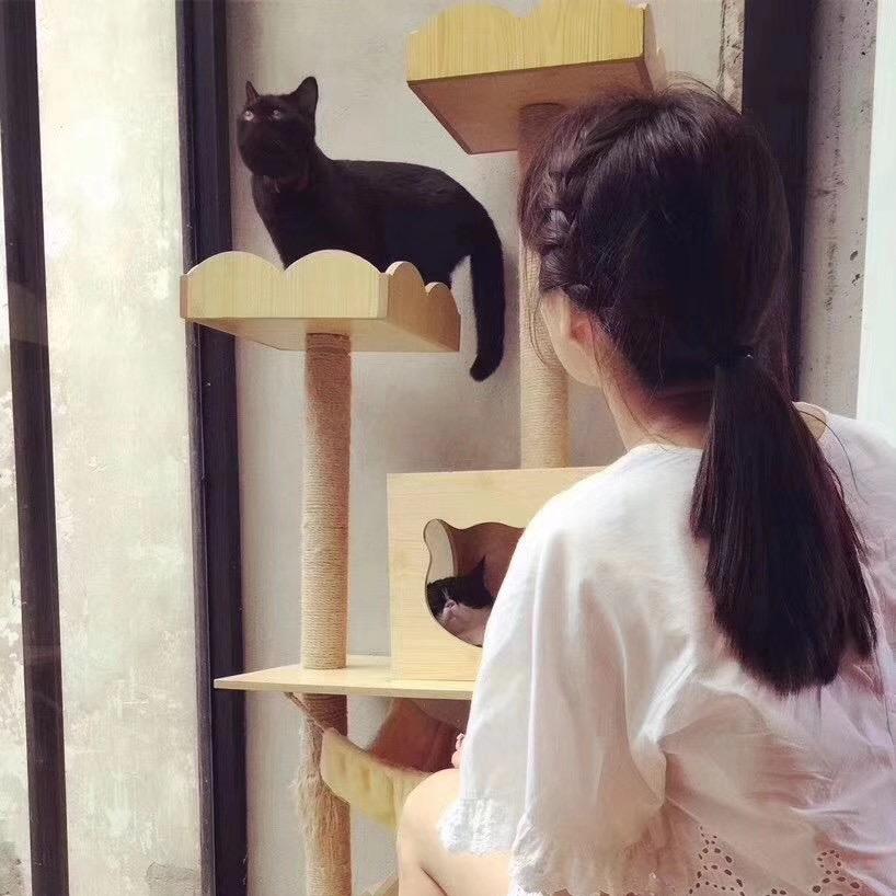 ·｜美丽世界的孤儿