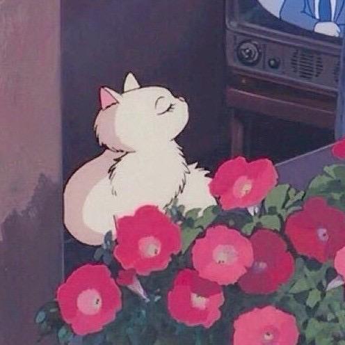 石榴泡馍