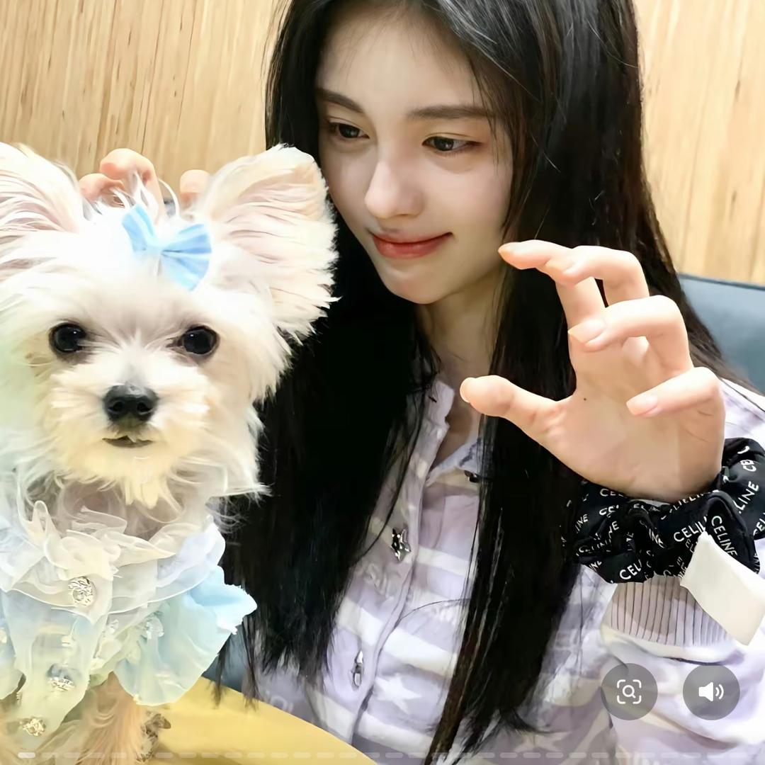 일영