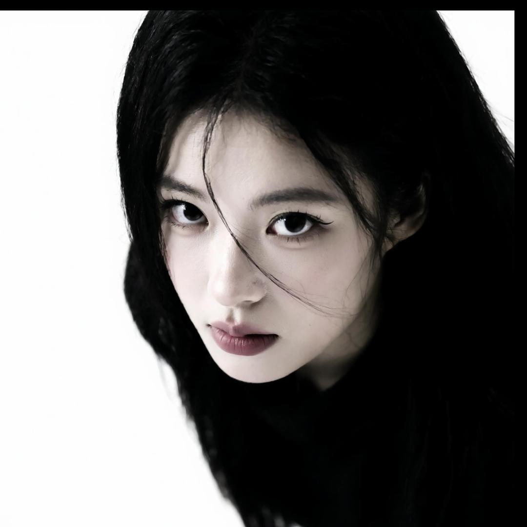 小茶花（回归版）