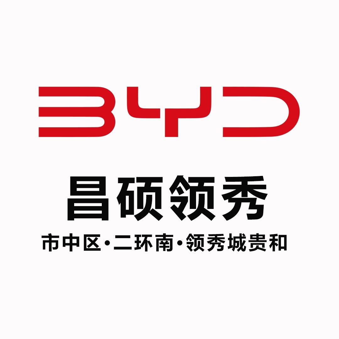 山东比亚迪王朝网（济南昌硕店）