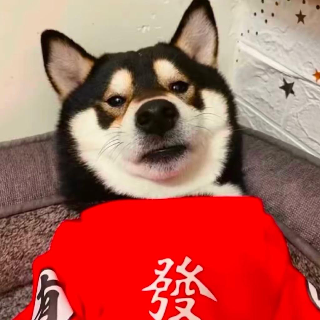 深似海