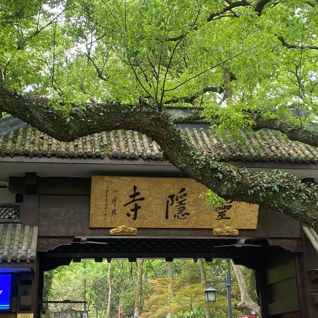 不吃榴莲
