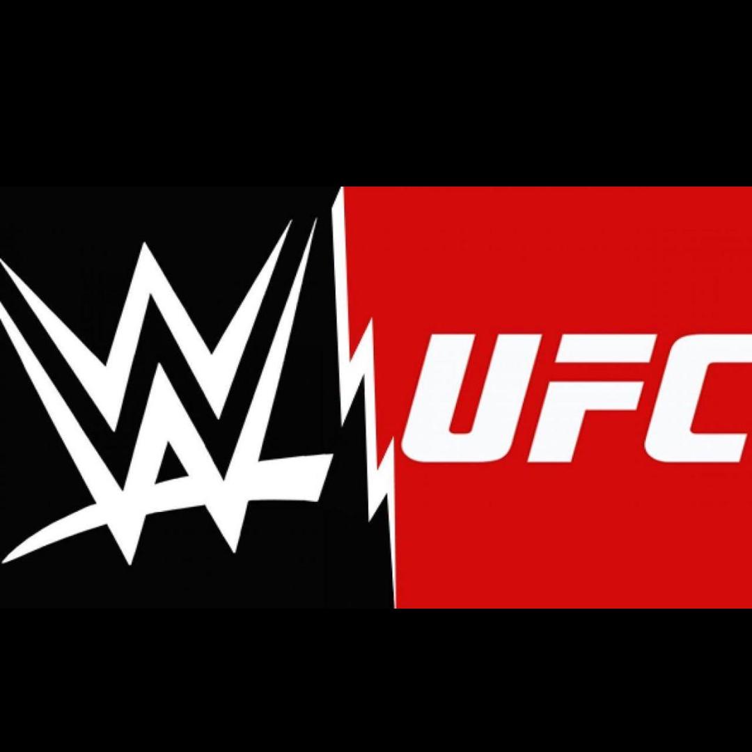 UFC冠军🥊