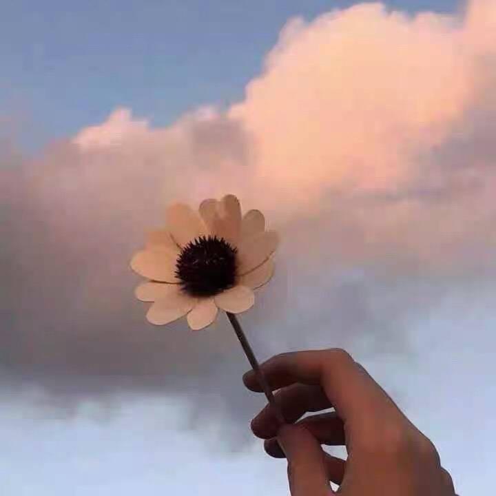 鱼的眼泪