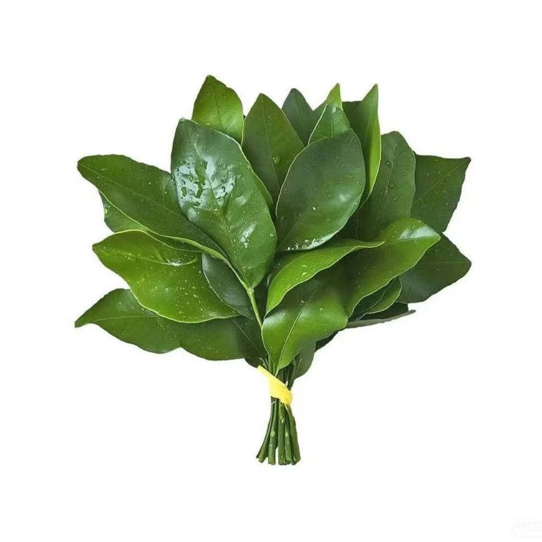 马马虎虎
