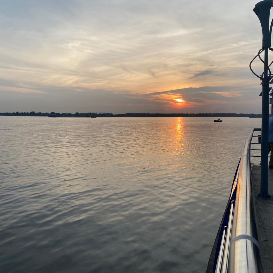 小豆芽爱吃豆芽