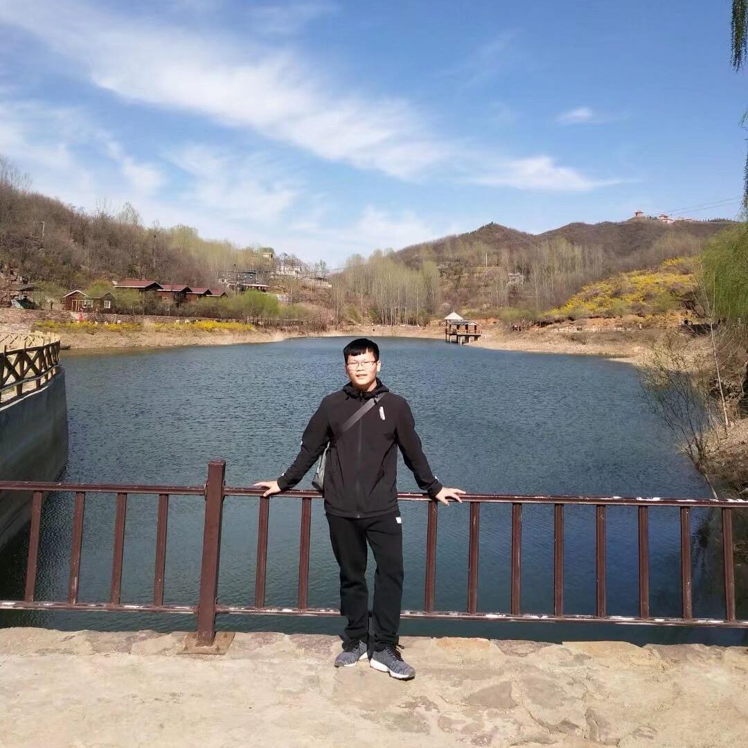 阳阳—亳州地产（白术种芽）