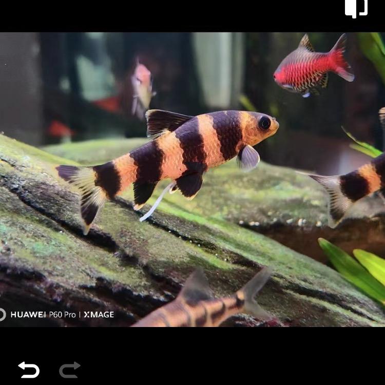 深呼吸小城水族