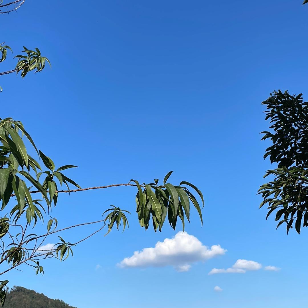 一杯懂你的茶